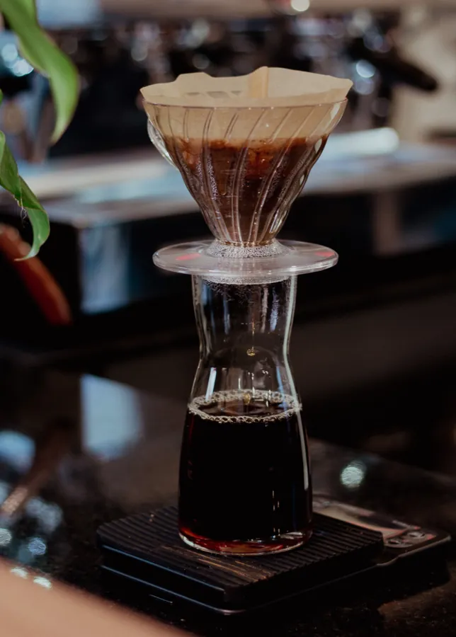 Hario V60